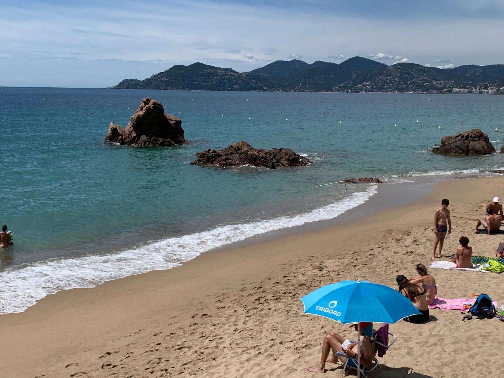 Le Palm Azur - Vue Mer Sur Les Iles De Lerins Cannes Dış mekan fotoğraf